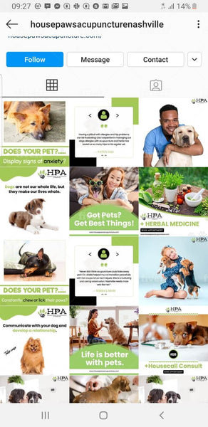 Social Media Management